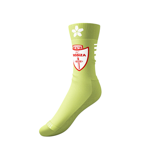AC MONZA -  AGGS GRIPSOCK VERDI